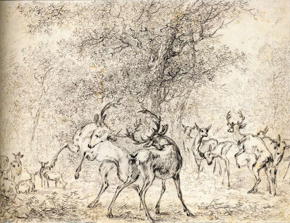 Collections of Drawings antique (2678).jpg